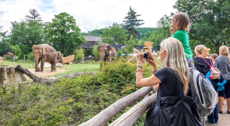 Praski ogród zoologiczny – jeden z najpiękniejszych na świecie