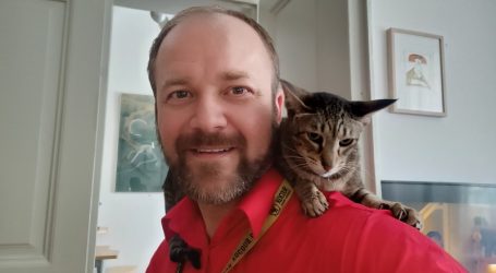 Terapia z kotem? Trzech na czterech Czechów nigdy nie słyszało o felinoterapii