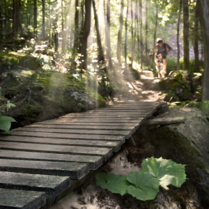 Rychlebskie trasy. Fot. Milan Jaroš